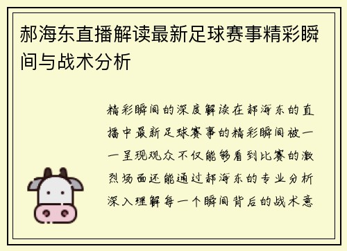 郝海东直播解读最新足球赛事精彩瞬间与战术分析