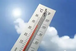 热传：苏炳添或将提前见分晓(苏炳添怎么了最新消息)